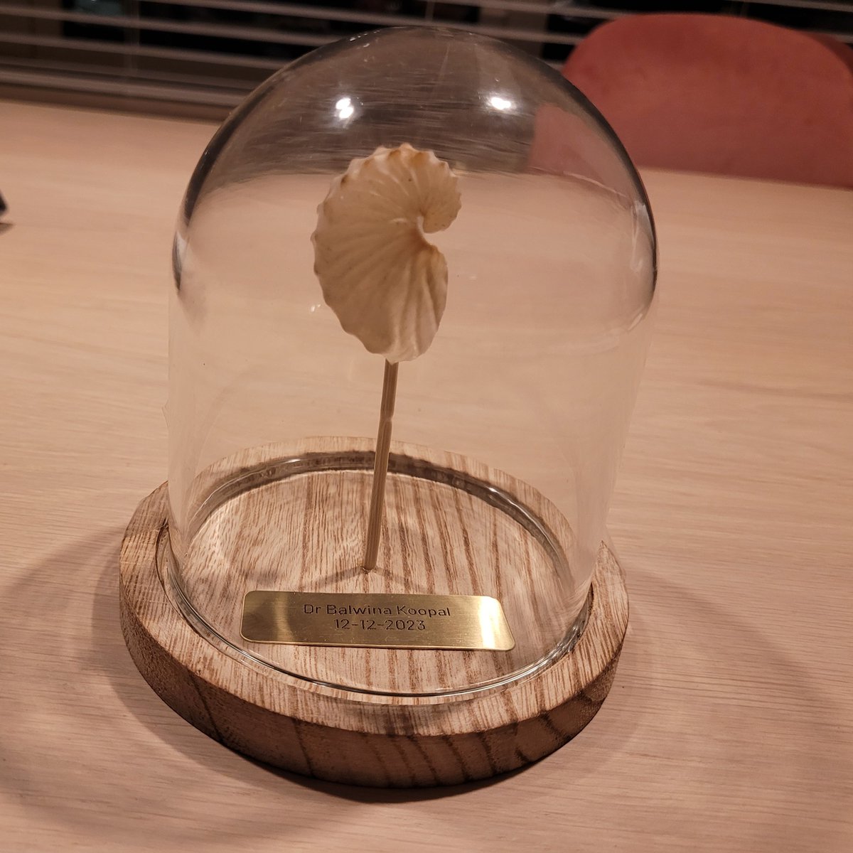 Daan C. Swarts tweet media