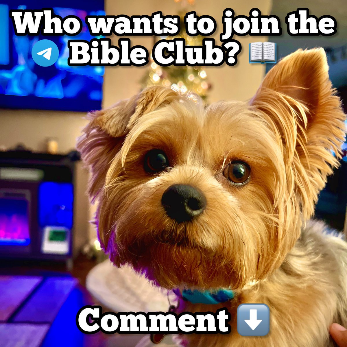 KingLegend757's tweet photo. Now that I got ya attention.. we are motivating ppl to read the Bible Daily &amp; holding each other accountable. Will you commit to reading the Bible Daily? Join the family! Comment below ⬇️ n yes it’s free lol 😂. https://t.co/PbD0dqLnE6