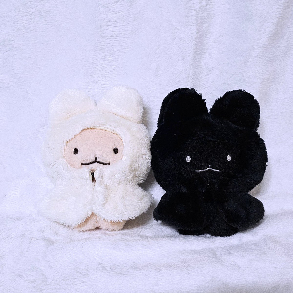 ddyaddyadoll's tweet photo. 🐾 곧...‼️이라고 하기엔 쪼끔 이르지만 약 한시간 후 재고판매가 시작됩니땨🤍🤍🤍
예비 땨주님들을 위하여 누룽땨와 깜깜땨를 모델로 섭외해왔습니땨🎊🎊🎊
땨들의 귀엽고 사랑스럽고 멋진 모습 감상해주십띠오🙇‍♀️🩷
oO(비밀인데,,, 사실 땨땨들은 실물파옝용😳) https://t.co/eoUNemmrYO