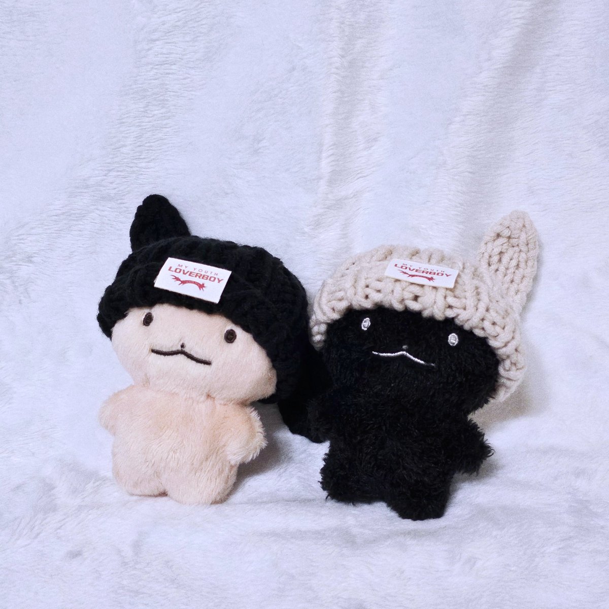 🐾 곧...‼️이라고 하기엔 쪼끔 이르지만 약 한시간 후 재고판매가 시작됩니땨🤍🤍🤍
예비 땨주님들을 위하여 누룽땨와 깜깜땨를 모델로 섭외해왔습니땨🎊🎊🎊
땨들의 귀엽고 사랑스럽고 멋진 모습 감상해주십띠오🙇‍♀️🩷
oO(비밀인데,,, 사실 땨땨들은 실물파옝용😳)