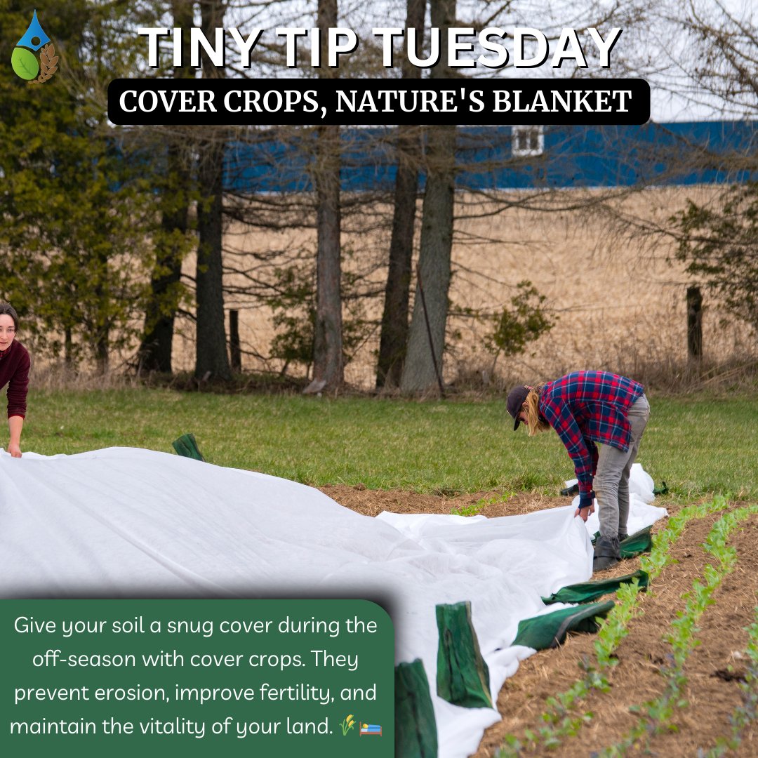 🌱Tiny Tip Tuesday
#CoverCrops #SoilCover #GreenBlanket #OffSeasonCare #SoilProtection