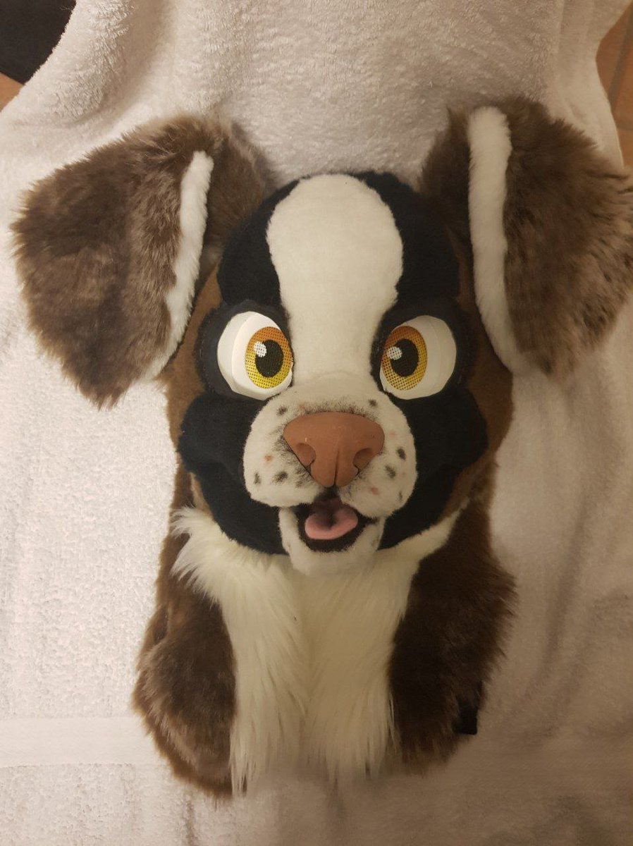 ℂ𝕙𝕖𝕤𝕚𝕣𝕖 𝕊𝕡𝕙𝕪𝕟𝕩 𓃠 (commissions Closed) tweet media