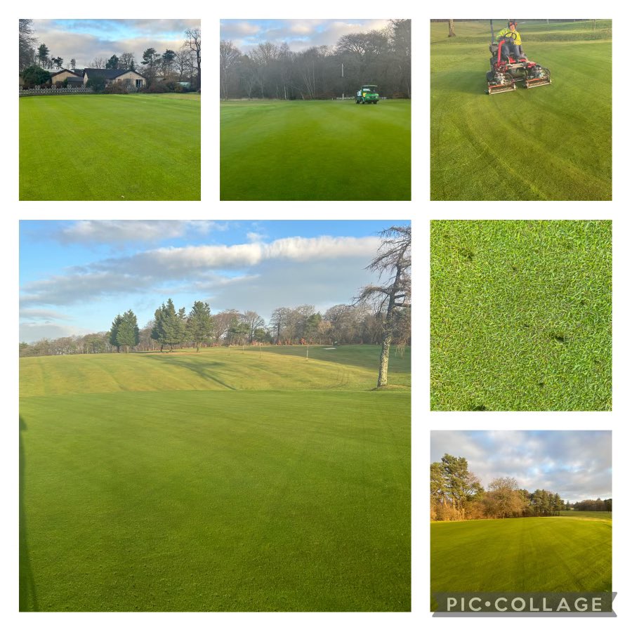 Jordan Cameron (@jordan070716) on Twitter photo Weather has been against us but finally happy with the greens going into the new year. New practice area basically done. Well earned Christmas night out tomorrow at <a href="/TopgolfUK/">Topgolf UK</a>. <a href="/AirdrieGolf/">Airdrie golf club</a> Weather has been against us but finally happy with the greens going into the new year. New practice area basically done. Well earned Christmas night out tomorrow at <a href="/TopgolfUK/">Topgolf UK</a>. <a href="/AirdrieGolf/">Airdrie golf club</a>