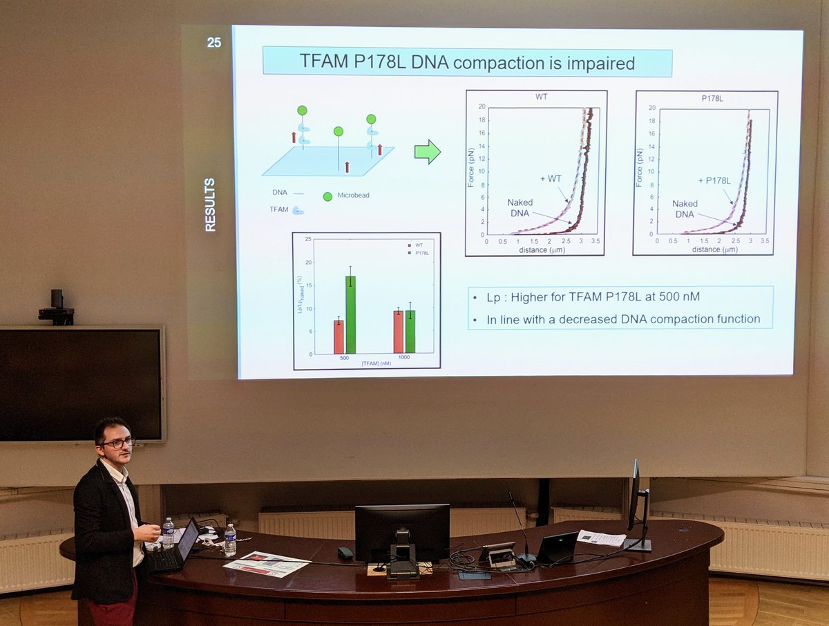 RadioBioPhysics's tweet photo. 🧑‍🎓 Today, Martial successfully defended his PhD thesis entitled "Unravelling the molecular mechanisms of TFAM and mtSSB variants in mitochondrial diseases : a single molecule approach". Congratulations Dr. Martucci, from all your colleagues! 👏🥳 https://t.co/k11MzgqksT