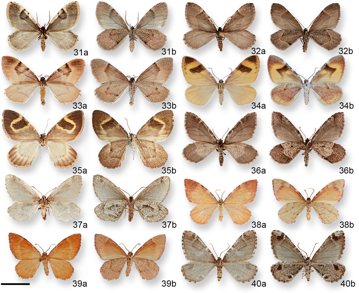 Tanner Matson tweet media