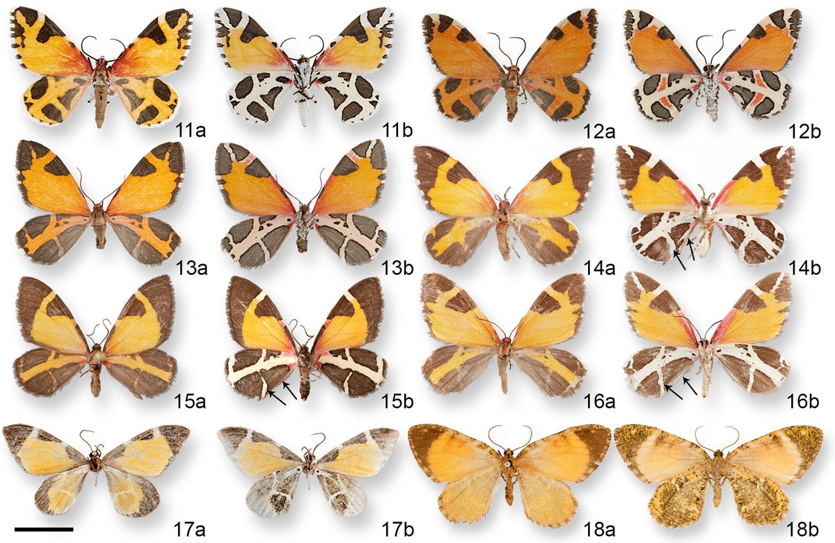 Tanner Matson tweet media