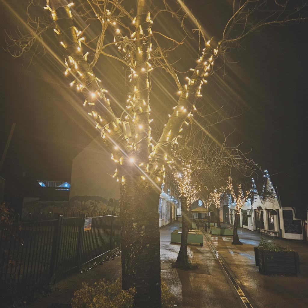 It's time for my annual #LetchworthGardenCity Christmas lights post 😂❤️

But seriously, don't the lights just look amazing this year!🎄🥰🧣

#LoveLetchworth