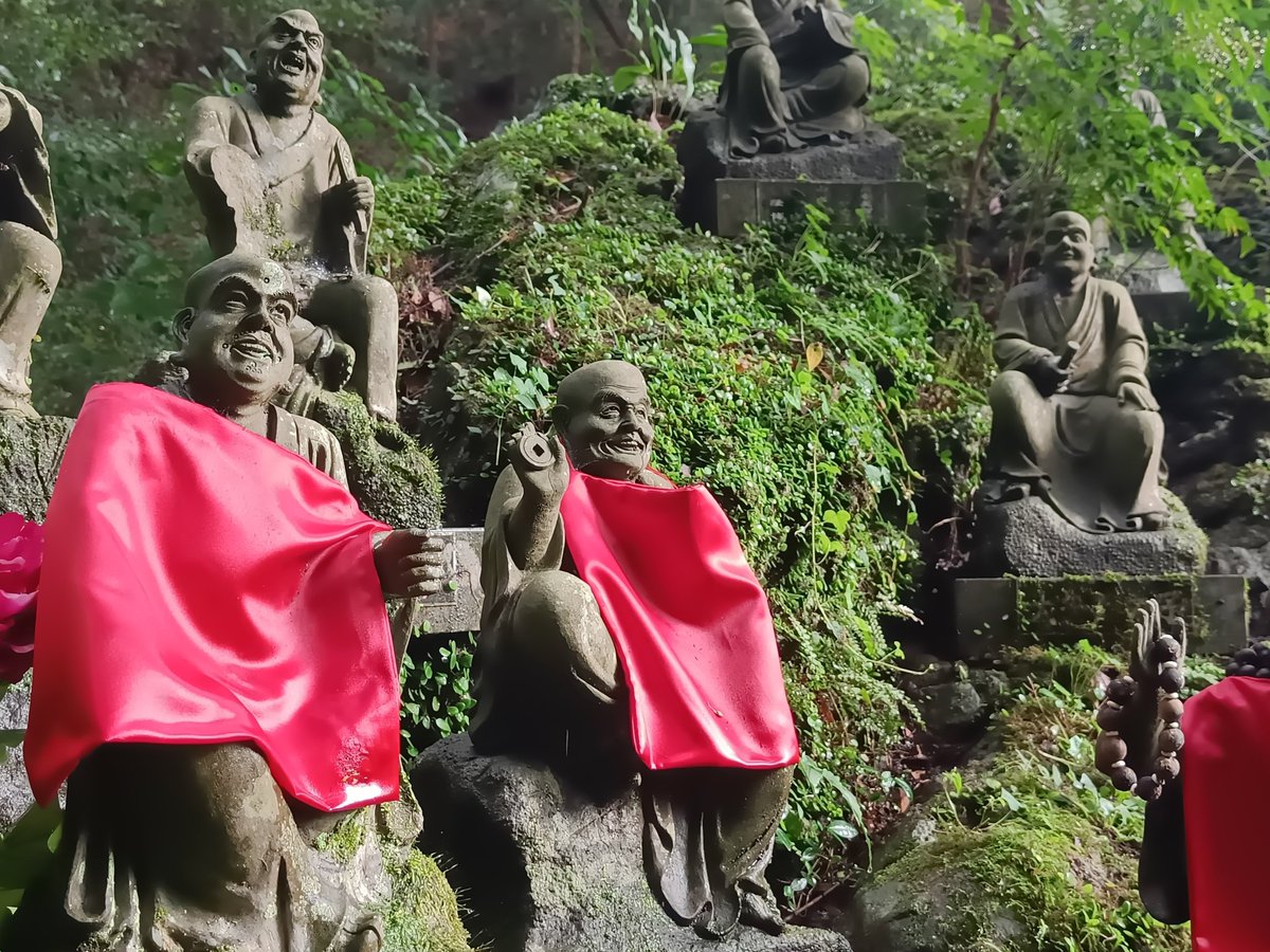 Había visitado varias veces Daizaifu, pero nunca había ido a Nanzoin.

Si se va a Fukuoka, hay que verlos. Y, si es en agosto e inhalas agua mientras los mosquitos te acribillan, mejor, más ascético.