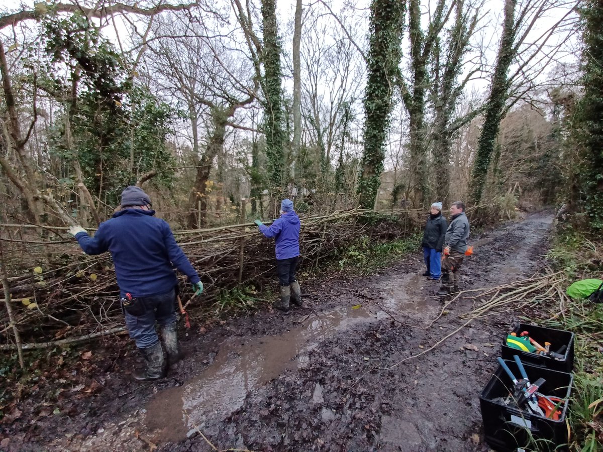 Wilder_Ouse's tweet photo. Another wonderful #volunteer day at Middleton Manor 🎉 
Thanks to a fabulous team, we #regenerated a #pond, created small log piles, finished off a hedge, installed a #deadhedge, planted pond loving plants, made #soil clearings and put in a bank top diverter 🌳
@SussexWildlife https://t.co/PdjO3Jb9oJ