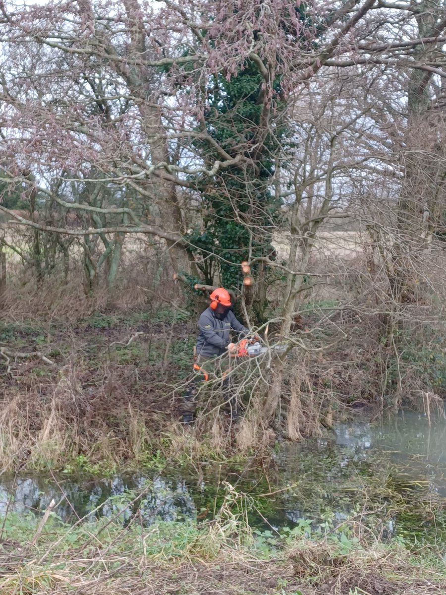 Wilder_Ouse's tweet photo. Another wonderful #volunteer day at Middleton Manor 🎉 
Thanks to a fabulous team, we #regenerated a #pond, created small log piles, finished off a hedge, installed a #deadhedge, planted pond loving plants, made #soil clearings and put in a bank top diverter 🌳
@SussexWildlife https://t.co/PdjO3Jb9oJ