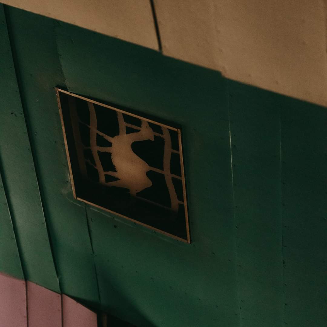 🎉 BREAKING NEWS: We are buying the Broadway!

We are delighted to announce that our application to the Scottish Land Fund has been officially accepted, and we have been awarded the funding to purchase the Broadway Cinema.

Now let's enjoy the journey. Together! ❤️