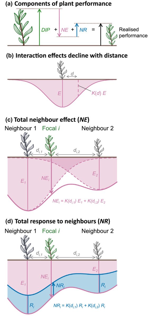 Functional traits shape plant-plant interactions and recruitment in a diversity hotspot

📖 ow.ly/HESW50QhM2r
by Cooksley et al.

<a href="/wileyplantsci/">Wiley Plant Science</a> #PlantScience