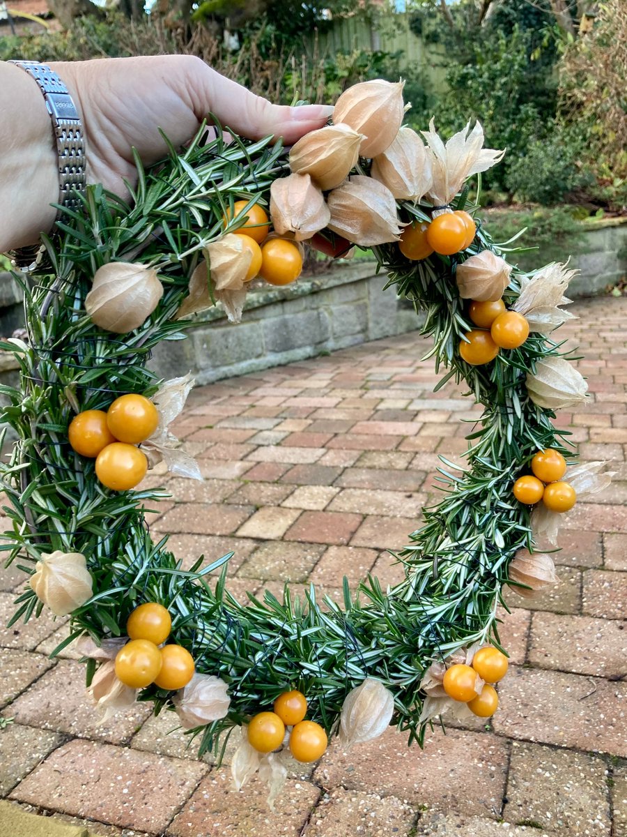 pottyplotters's tweet photo. Have you got physalis & a big bush? Then why not trim and pick to make a wreath? We did
https://t.co/h8Etz2hGjP
#allotment #allotmentlife #gyo #growyourown #pottyplotters #naughtycorner #learning #veg #vegetables #plant #fruit #flowers #selfsufficient #sustainable #thegoodlife https://t.co/FCeGtxiWCI
