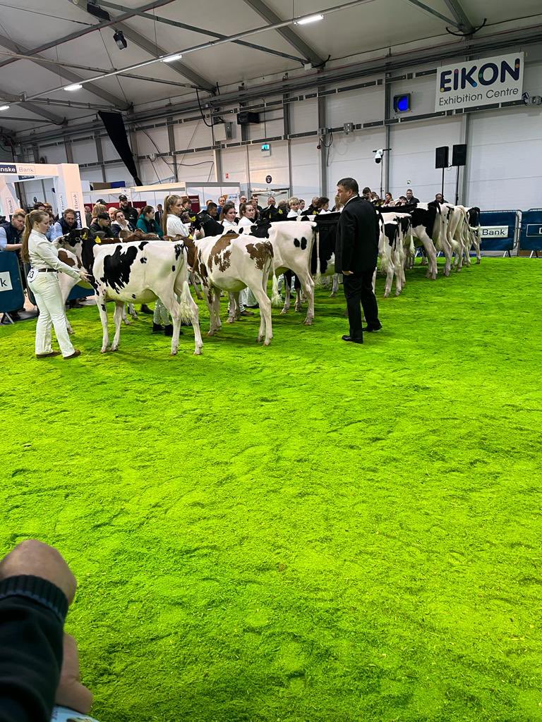 InformNutrition's tweet photo. A great day here in Belfast at @RUASWinterFair Our stand is in the main hall, drop by to discuss all our animal health solutions.  #ruaswinterfair #dairyfarmers #dairyfarm #animalnutritionsupplements #animalnutrition #calvingseason  #pedigreecharolais #pedigreelimousin  #calfaid https://t.co/QkyDO7q9bS
