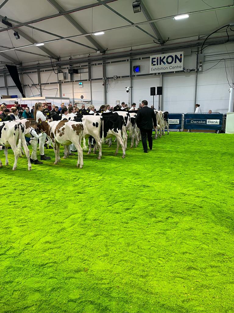 A great day here in Belfast at @RUASWinterFair Our stand is in the main hall, drop by to discuss all our animal health solutions.  #ruaswinterfair #dairyfarmers #dairyfarm #animalnutritionsupplements #animalnutrition #calvingseason  #pedigreecharolais #pedigreelimousin  #calfaid