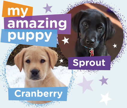 Canine Partners tweet media