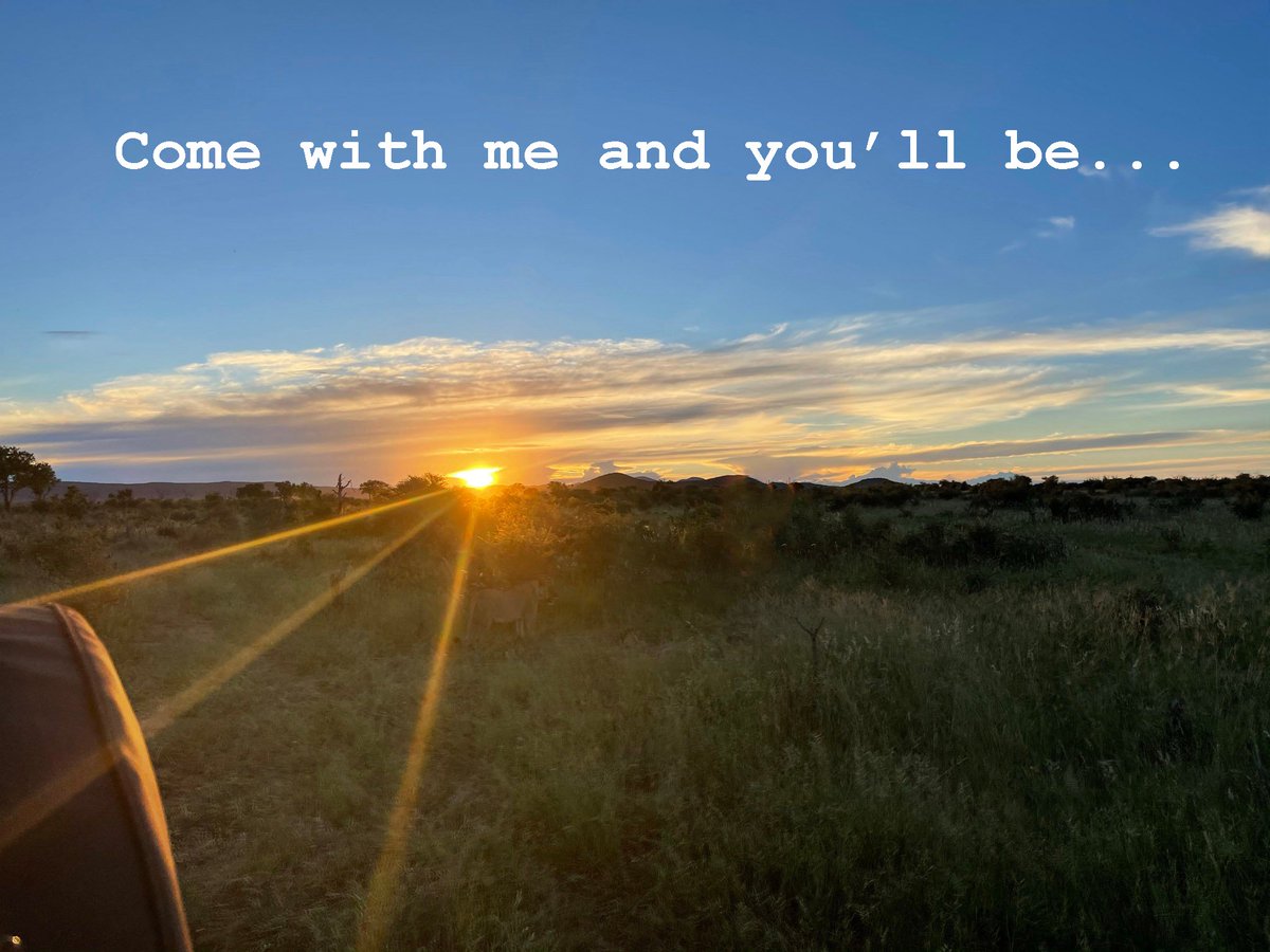 We want to invite you on our journey into the bush as we create an experience like no other.