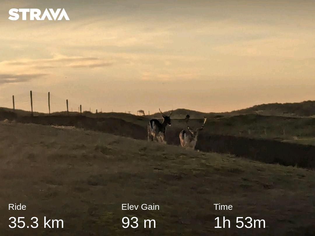 Amsterdamse waterleidingduinen:
strava.app.link/7BvLXxKswFb