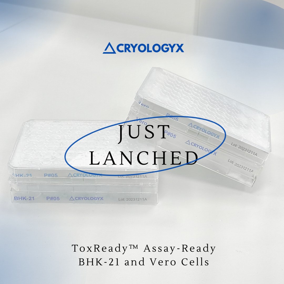 We're excited to announce our latest product launch: BHK-21 and Vero Assay-Ready Cells, just in time for the festive season! Assay-ready Cells for Christmas: Enjoy your holidays, return to a lab ready for your discoveries in the new year! #CryoLogyx #cellculture #newproduct