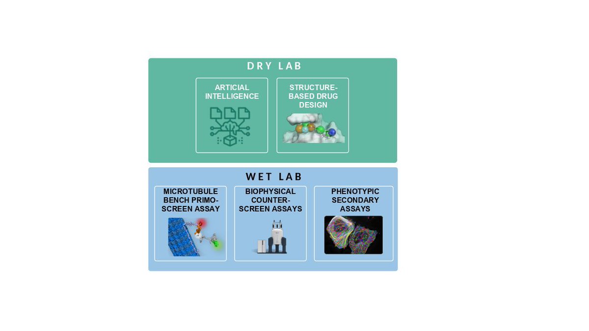 Eager to transform the landscape of drug discovery? Envision a world where breakthrough innovation tames the most challenging targets: protein-protein and protein-RNA interactions! 

buff.ly/41tNRaX