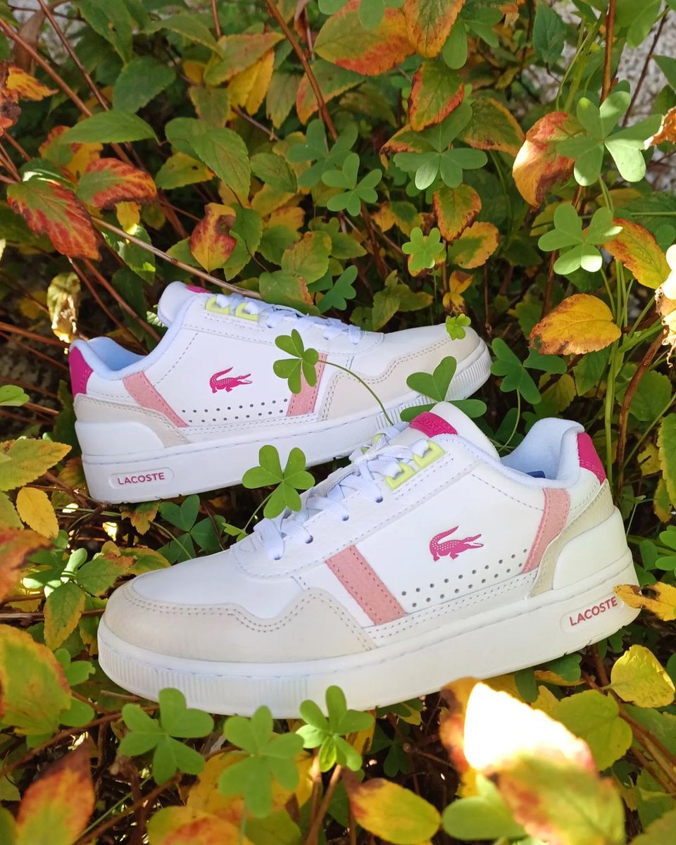 susomoda's tweet photo. Para este soleado ☀️ jueves tenemos la pareja perfecta nuestros t-clip de Lacoste 
Te esperamos en nuestras tiendas:

☀️ Suso Moda Portonovo y Sanxenxo 

Y también en nuestra web 

⭐️ https://t.co/JmYCXMkWbQ ⭐️ 

#shopping
#ideaspararegalar #regalosnavidad  #Portonovo #Sanxenxo https://t.co/Y2H0N4Rz9j