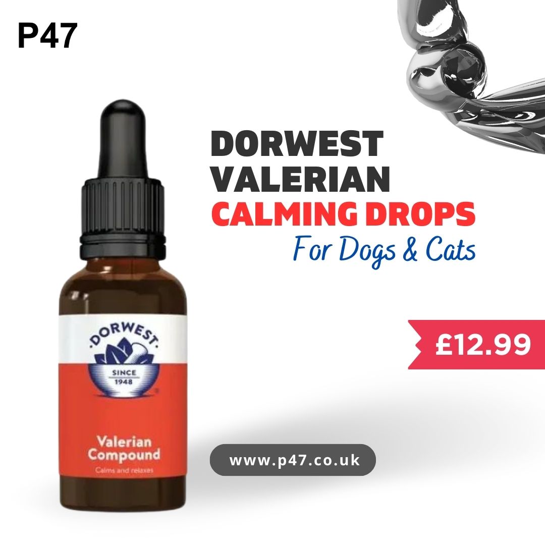 P47_uk's tweet photo. Dorwest Valerian Compound Calming Drops are perfect for stress and anxiety of your pets for fireworks, thunderstorms, travel, and more, it promotes relaxation without causing drowsiness.
https://t.co/EVZyb7mkWH

#dorwest #Valerian #calmingdrops #dropsfordogs #P47 #pets https://t.co/K00NthQDb7