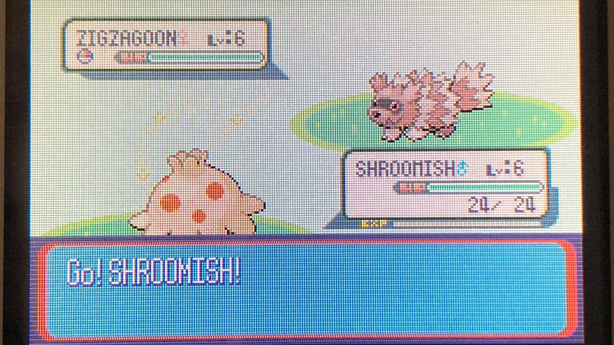 [222✨] C’est tout simplement une dinguerie Balignon shiny en 4106 RE’s phase 2 à 20% j’en reviens il est incroyable !
#shiny #ShinyPokemon