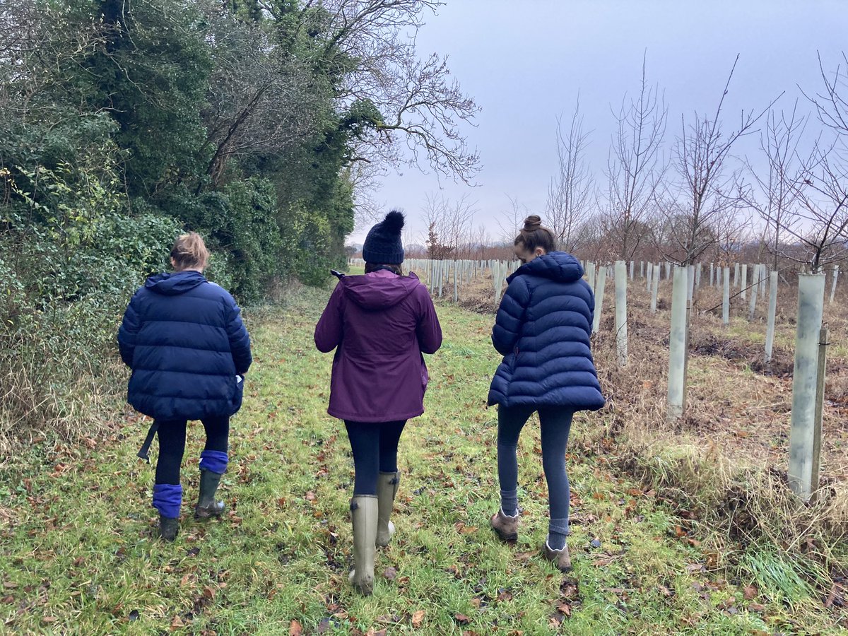 DorsetForest's tweet photo. Mums of young babies overcame hurdles of baby sick and wintery weather to enjoy a walk in Chettle this morning-none of them had been here before and loved the village and the #chettleshop coffee! Getting outside helped all of our wellbeing @HeritageFundUK @CranborneChase https://t.co/9N8TQW5QL9