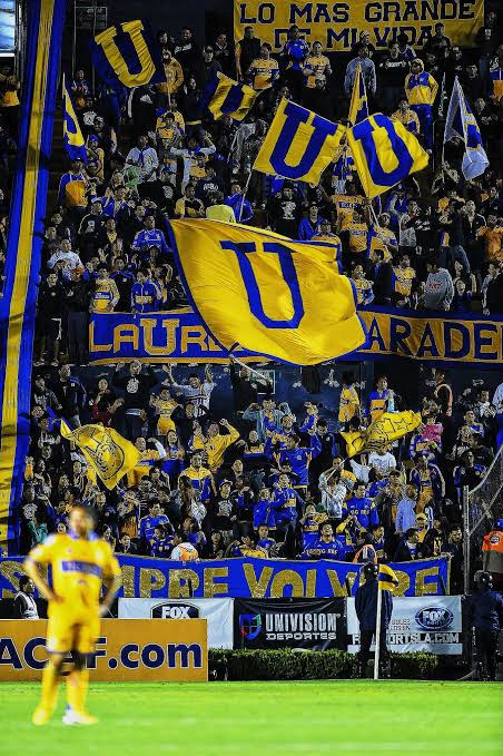 Por la gente, por los que ya no están, por el escudo y por la historia. 

ES HOY TIGRES QUERIDO