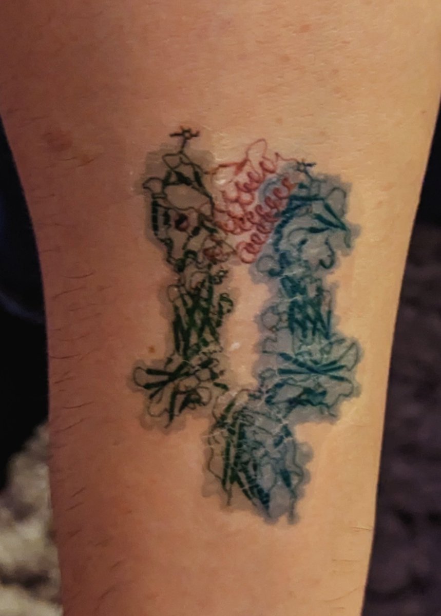 Hitchcock Lab (@hitchcock_lab) on Twitter photo I've finally taken the plunge with my first tattoo... The 2xMPL:TPO structure at 3.4A. Do you approve <a href="/theclotthickens/">Kellie Machlus</a>? I've finally taken the plunge with my first tattoo... The 2xMPL:TPO structure at 3.4A. Do you approve <a href="/theclotthickens/">Kellie Machlus</a>?