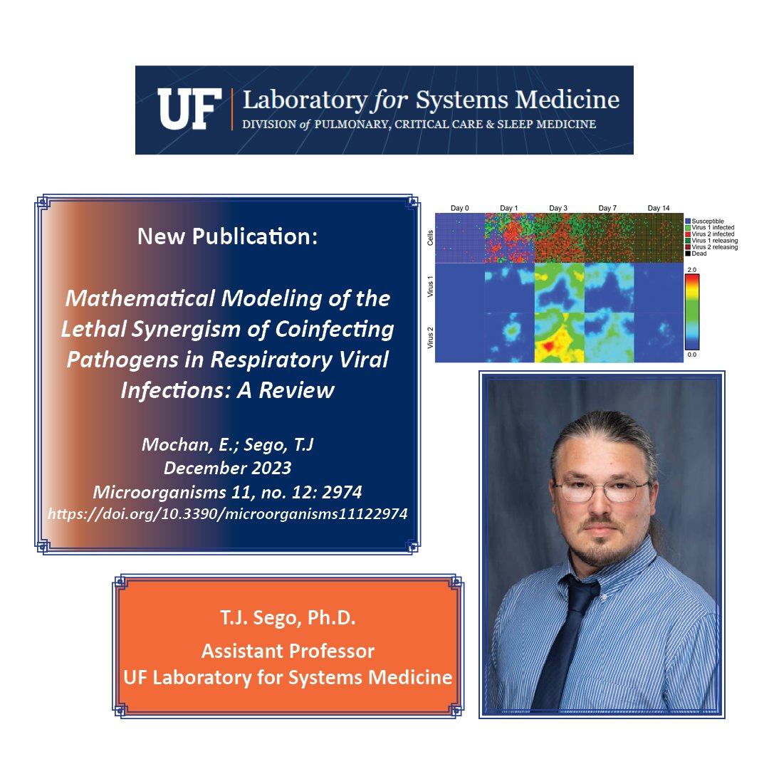 IAV infections represent global health challenges & are often accompanied by coinfections, resulting in increased morbidity & mortality. Mathematical biological modeling can play a pivotal role in shedding light on the mechanisms of coinfections. Read: doi.org/10.3390/microo…