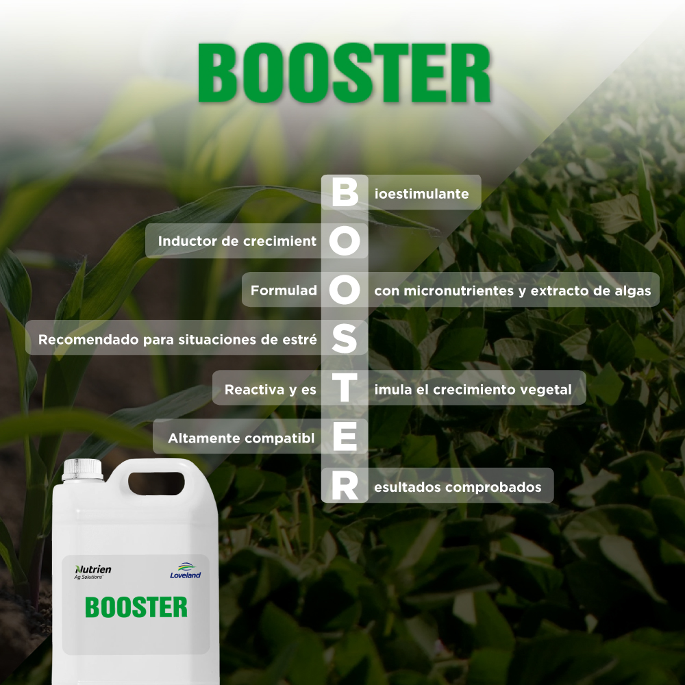 ¡#Booster es nuestro producto bioestimulante que tus cultivos necesitan!
¿Conocés sus beneficios?
✅Activa la división y el alargamiento celular.
✅Promueve la retención floral y el cuajado de los frutos.
✅Estimula la apertura de estomas.
✅Retarda la senescencia foliar.