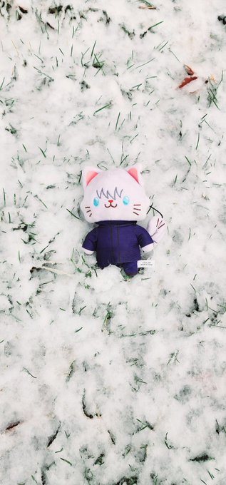 「jacket white cat」 illustration images(Latest)