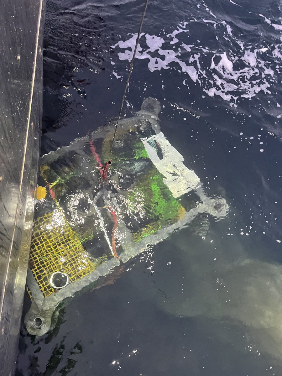 A successful redeployment of the MI Ocean Observatory in Holyrood Bay through the determination and hard work of the Centre for Applied Ocean Technology and Ocean Networks Canada 
<a href="/SchoolofOceanT2/">School of Ocean Technology</a> <a href="/marineinstitute/">Marine Institute, Memorial University</a> <a href="/MemorialU/">Memorial University</a> <a href="/Ocean_Networks/">Ocean Networks 🇨🇦</a> @townofholyrood