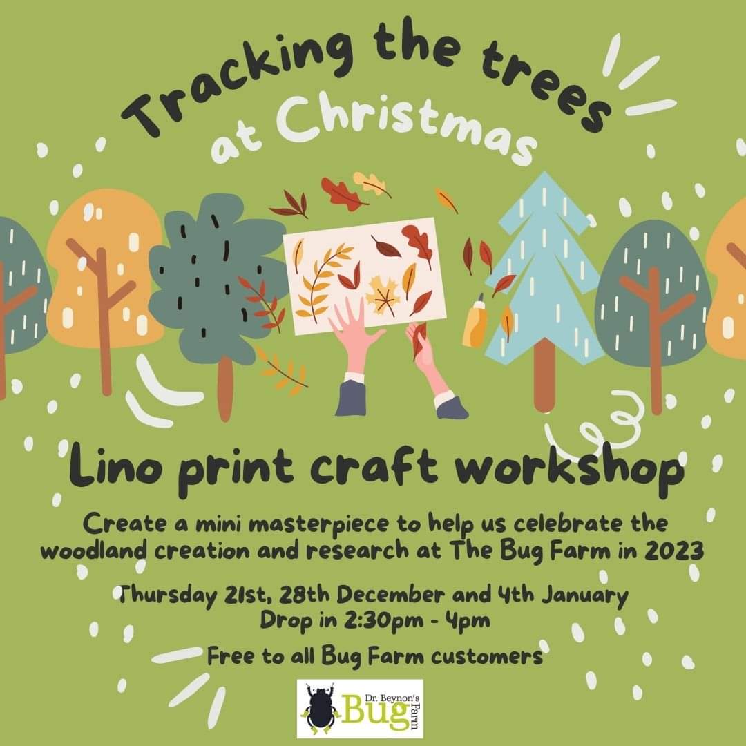 Planning your Christmas holiday activities? We're open Thursday-Sunday (excluding Christmas Eve) from 21st December-7th January with these great craft workshops on Thursday afternoons. #TrackingTheTrees #Craft #Christmas #ChristmasHolidays #TheBugFarm