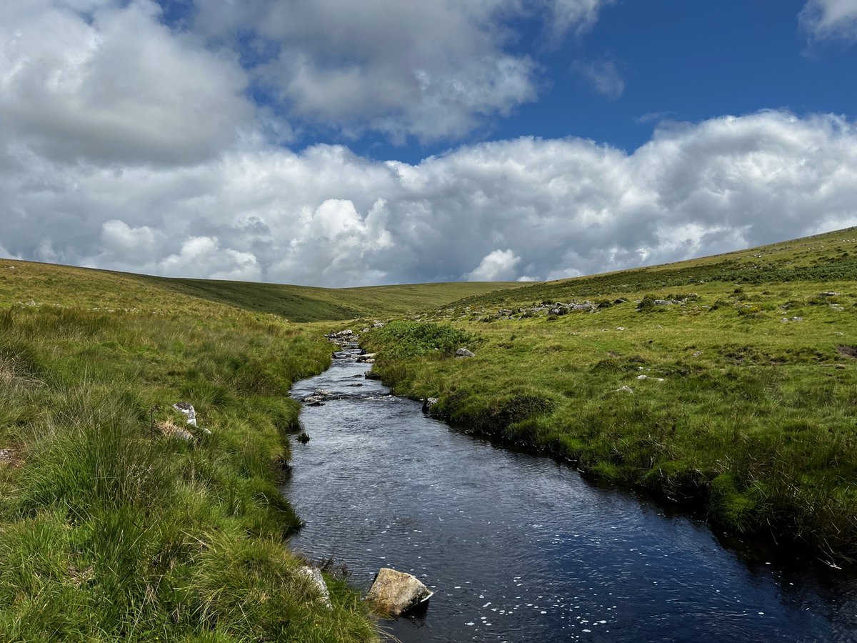 In case you missed it 🌟 Dartmoor had not one but two ambitious nature and farming projects given the green light last week 😍 Here's more ➡️ bit.ly/3RHG84P