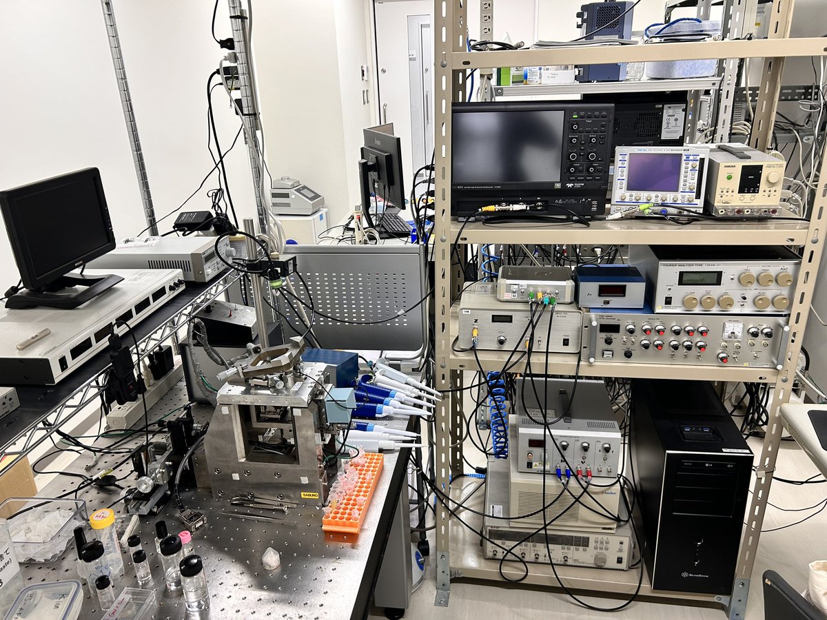 Visiting Prof Toshio Ando’s amazing High-speed AFM Lab @ Nano Life Science Institute @nanolsi , Kanazawa University @KanazawaUniv_O & giving a seminar on “Ionic liquids to control biomembrane elasticity & amyloids” @UCD_physics @UCD_Conway @ucdscience @Scienze_RomaTre @UnivRoma3