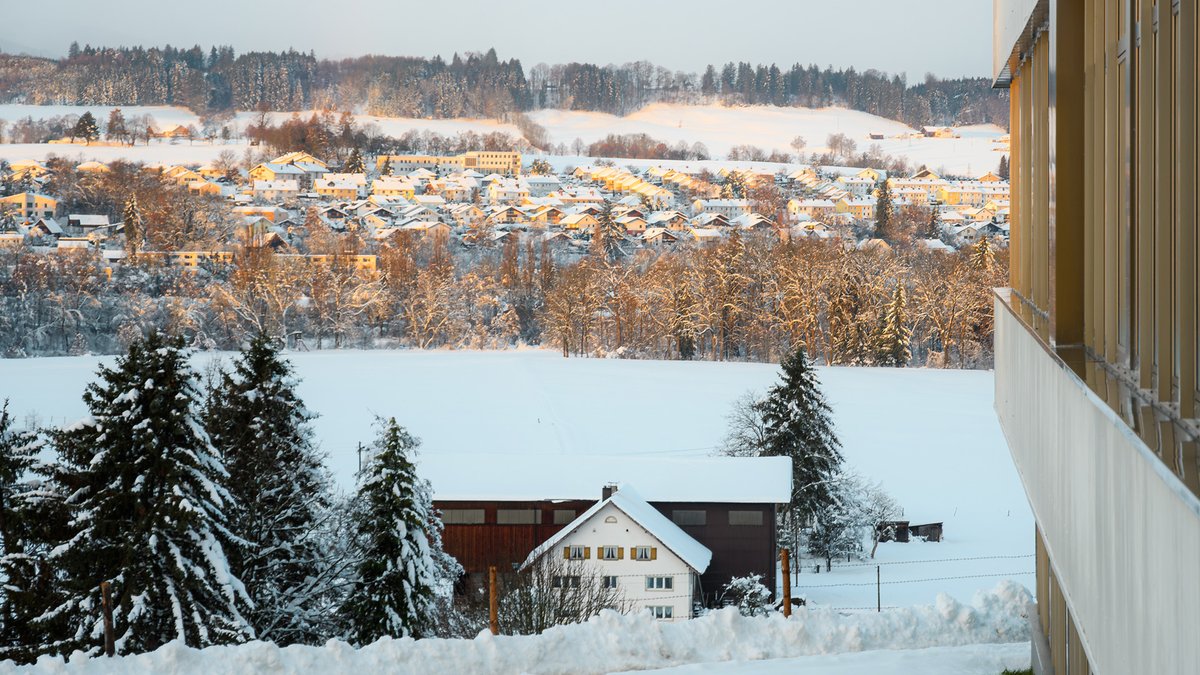 Walking in a winter wonderland at our headquarters in Kempten! ❄️ The current views from our offices truly are a sight to behold. What does your office view look like? ☃️ #liebherr #kempten #winter