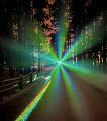 gaismasdarzs's tweet image. Meklējam Gaismas! Kā katru gadu - arī šogad visām 36 Latvijas Gaismām vārda dienā no mums - ielūgums uz @gaismasdarzs! Ja ziniet kādu - dodiet ziņu, lai piesakās, jo mūsu pastaiga bez Gaismas nav nekas! #ziemasgaismasdarzs #gaismas #brivdabasmuzejs