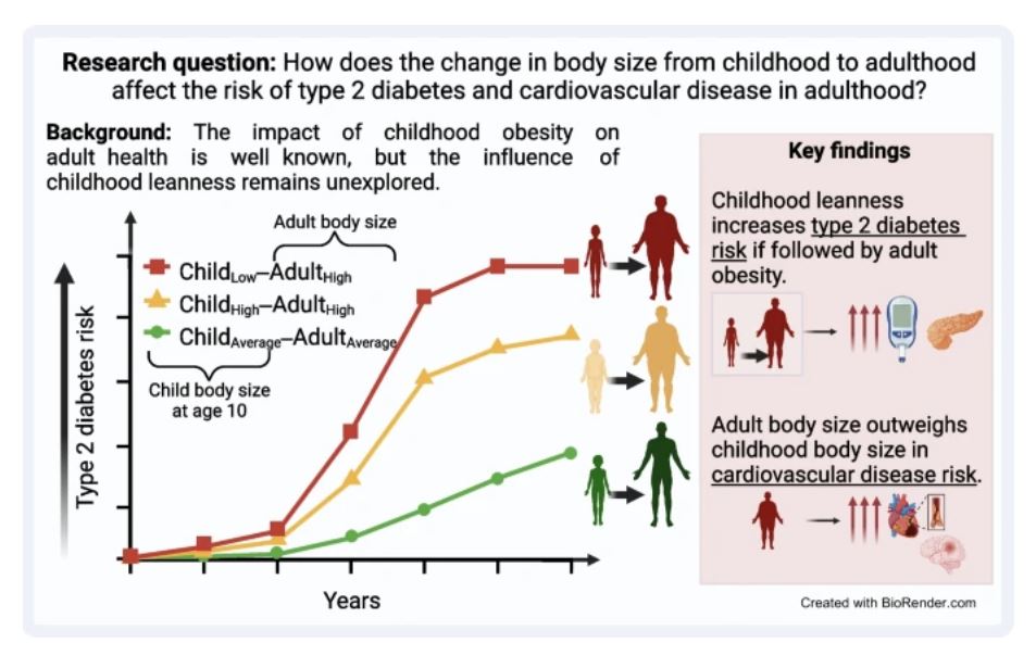 Childhood body size matters! Research involving 364,695 individuals indicates that being lean as a child, followed by #obesity in adulthood, significantly increases risk of #T2D. Prioritise maintaining healthy weight throughout life! tinyurl.com/2mcteesc 🔓