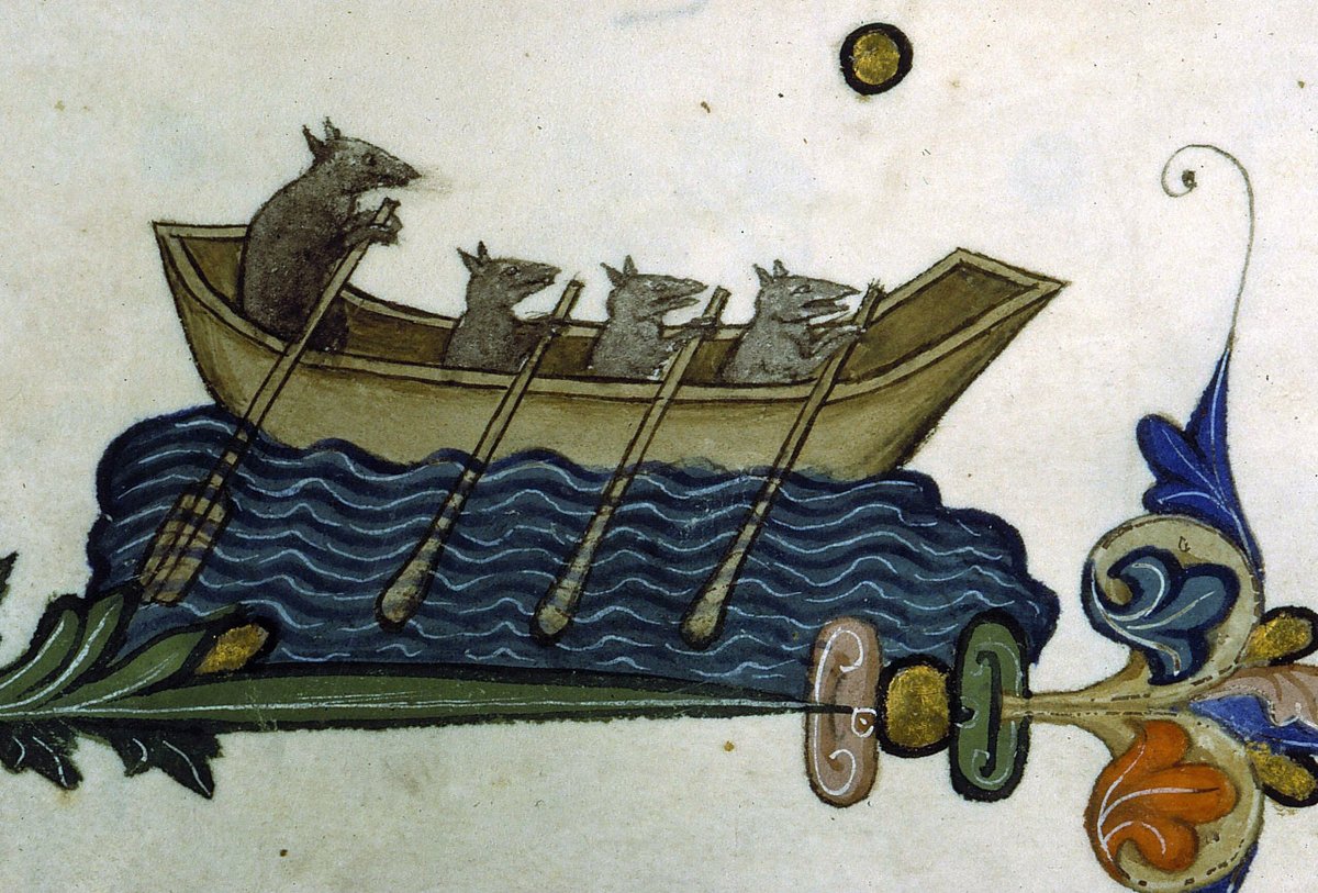 Four rats rowing a little boat in the margins of Pontifical of Guillaume Durand, 14th century France. Source: “Pontifical de Guillaume Durand” (Guillaume Durand), approx. 1390, Bibliothèque Sainte-Geneviève, Paris, ms. 143, fol. 77v