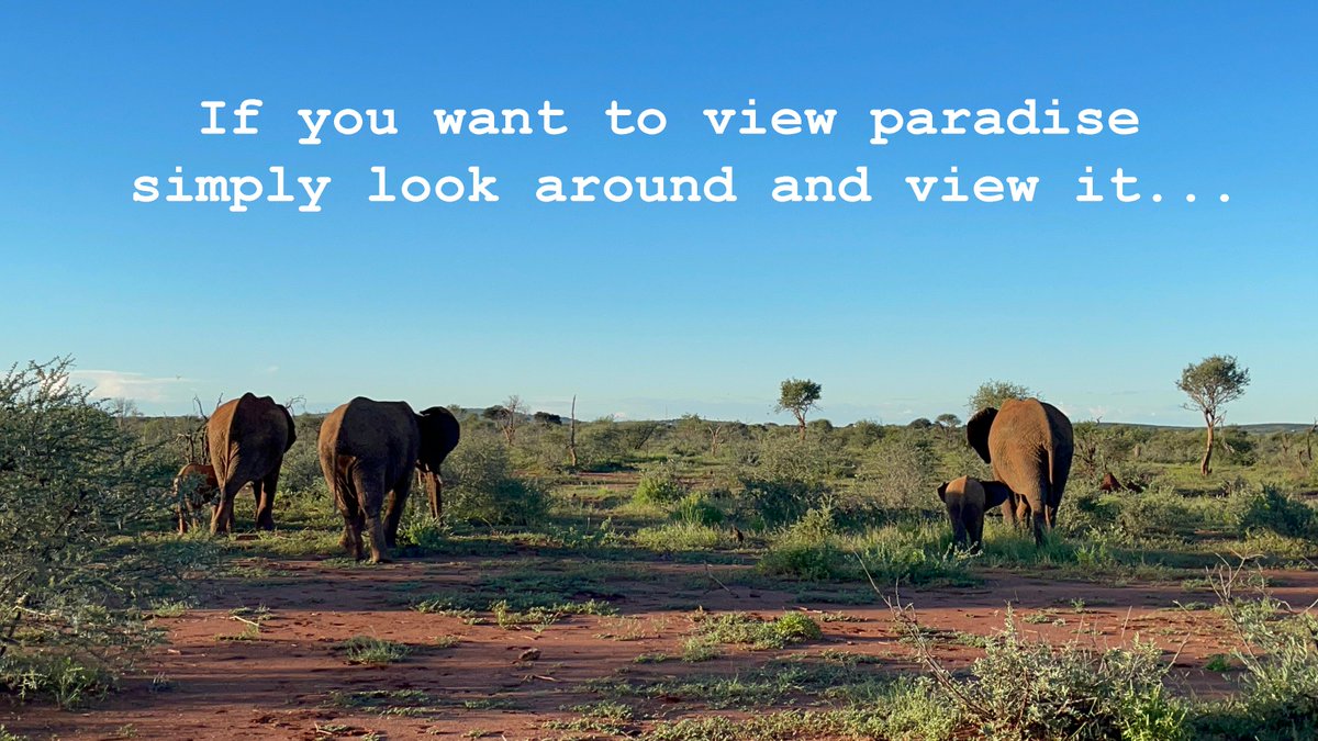 We want to heighten all of your senses as you journey with us into the dense subtropical bushveld.
