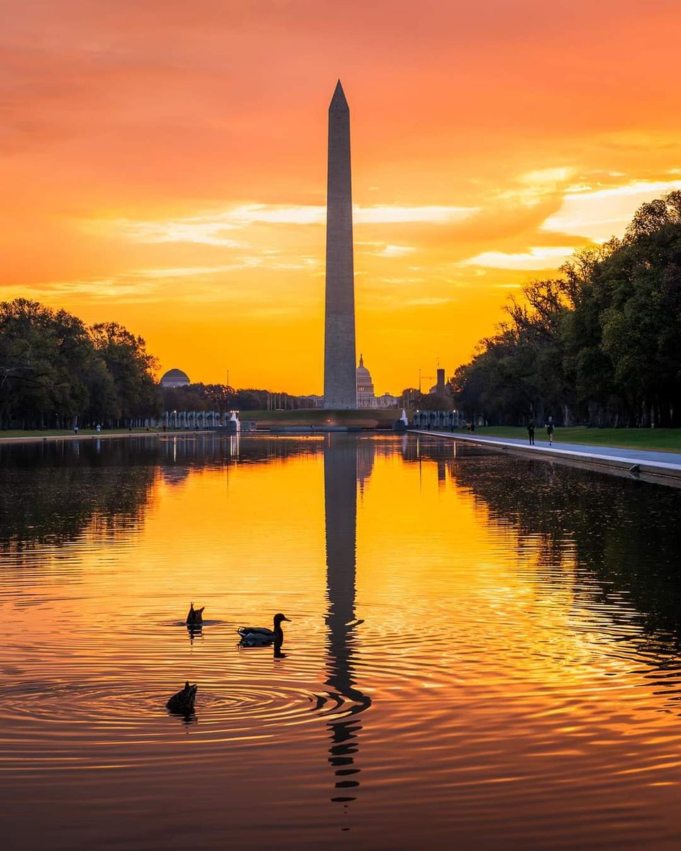 Beautiful morning moments in the District. 😍🔥

📸: IG/minhp #Only1DC