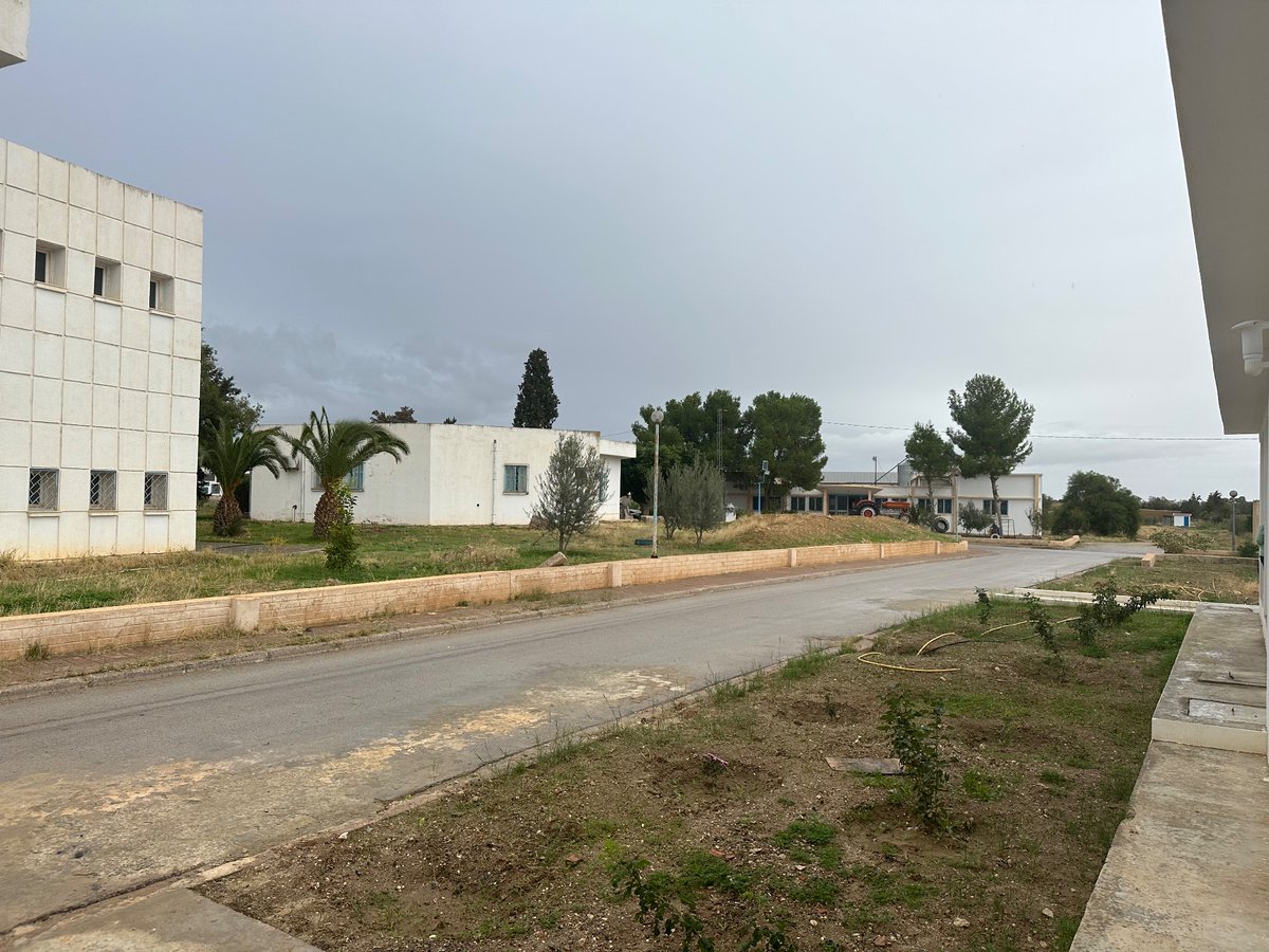 Thierry Millet (@millet_thierry) on Twitter photo Merci à Hassan Kharroubi , directeur de l’ESIM, et Ahmed Ben Yaghlane pour l’accueil et l’avancement , bientôt à terme, de notre beau projet commun à Medjez El Bab.
@orangetn <a href="/orangeafrica/">Orange Africa & Middle East</a> <a href="/BrelotteBa/">Brelotte Ba</a> <a href="/AsmaEnnaifer/">Asma Ennaifer</a> <a href="/fcosson2/">francoise cosson</a> <a href="/maya_jerbi/">Maya Jerbi</a> Merci à Hassan Kharroubi , directeur de l’ESIM, et Ahmed Ben Yaghlane pour l’accueil et l’avancement , bientôt à terme, de notre beau projet commun à Medjez El Bab.
@orangetn <a href="/orangeafrica/">Orange Africa & Middle East</a> <a href="/BrelotteBa/">Brelotte Ba</a> <a href="/AsmaEnnaifer/">Asma Ennaifer</a> <a href="/fcosson2/">francoise cosson</a> <a href="/maya_jerbi/">Maya Jerbi</a>