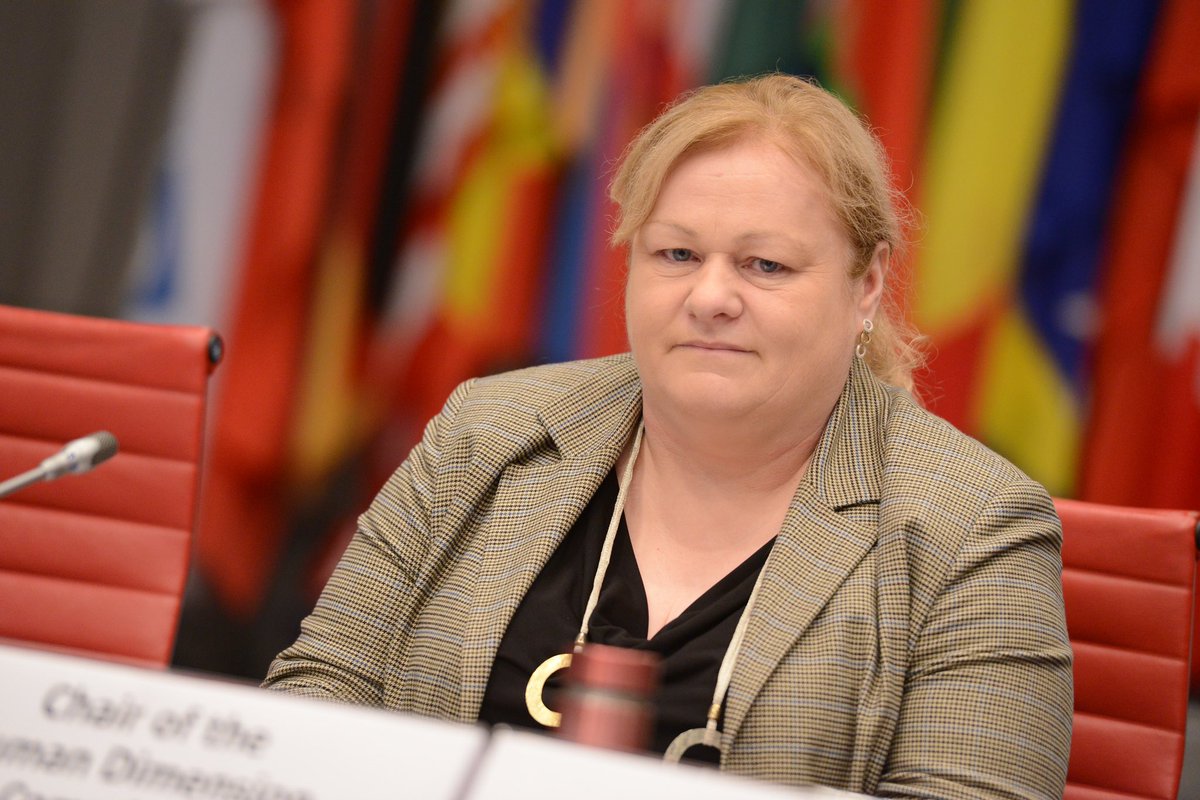 📌 At the last #OSCE2023🇲🇰 PC we have welcomed Chairs of the 3️⃣ Committees with their reports: 🔸Security Committee 🔸Economic and Environmental Committee 🔸Human Dimension Committee Thank you for your work & support throughout 🇲🇰 Chairpersonship.