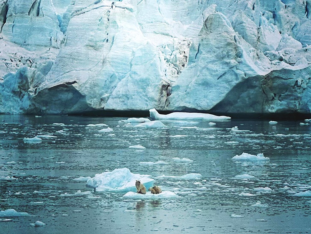 How much does a polar bear weigh? Enough to break the ice. 🧊 Read our recent blog from Annie Raymond, a member of NOAA’s navigation response team, who spent time surveying in the Canadian Arctic: nauticalcharts.noaa.gov/updates/survey… #arctic #surveying #polarbear #NOAA #navigation