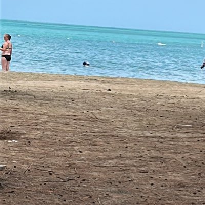 maprem52's tweet image. #NewProfilePic