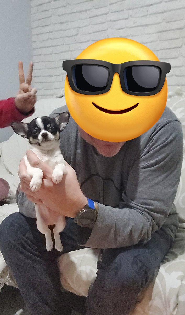 GonzalezLosana's tweet image. Hoy me han recordado esta foto y de cuando llegó mi #Jango(Fett) a casa,🤤🤤🤤🤤