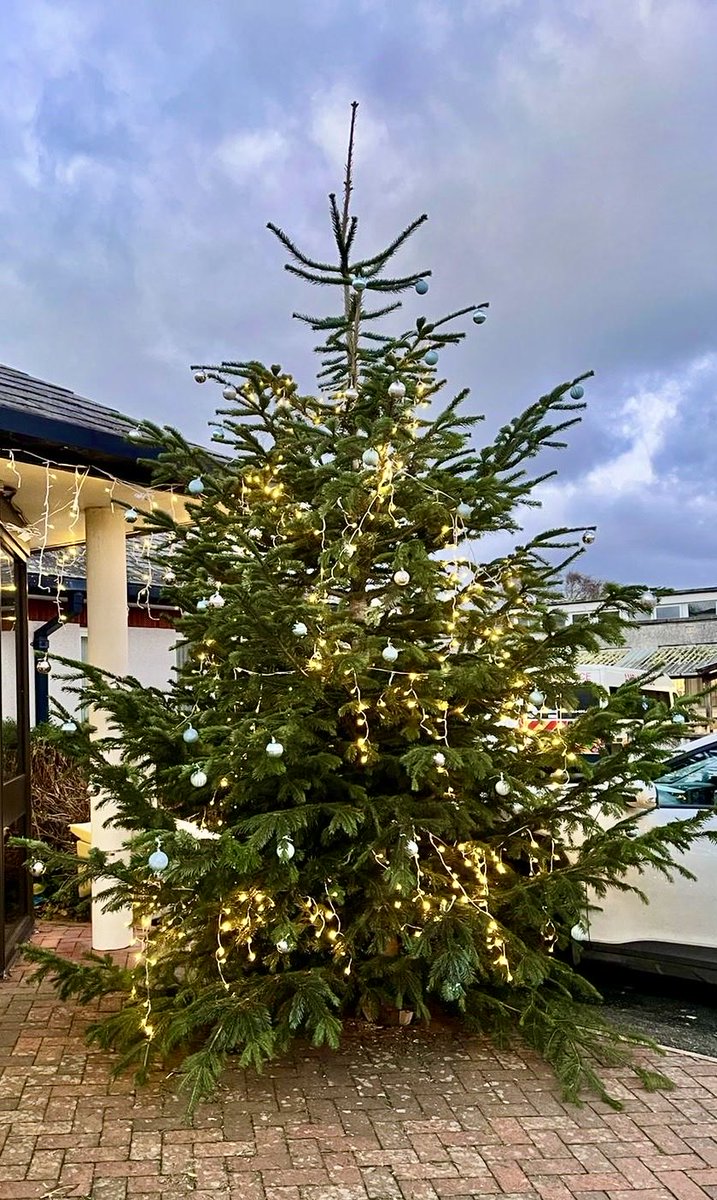 Paul Sylvester-Clay ππ³οΈβπ (@jpclaysylvester) on Twitter photo Itβs beginning to look a lot like Christmas outside West Cornwall Hospital today! Thanks to Kier for donating this stunning Christmas tree! β¦<a href="/WOutpatients/">WCH Outpatients</a>β© β¦<a href="/RCHTWeCare/">Royal Cornwall Hospitals NHS Trust</a>β© β¦β¦<a href="/EstatesRcht/">RCHT Estates & Facilities</a>β© Itβs beginning to look a lot like Christmas outside West Cornwall Hospital today! Thanks to Kier for donating this stunning Christmas tree! β¦<a href="/WOutpatients/">WCH Outpatients</a>β© β¦<a href="/RCHTWeCare/">Royal Cornwall Hospitals NHS Trust</a>β© β¦β¦<a href="/EstatesRcht/">RCHT Estates & Facilities</a>β©