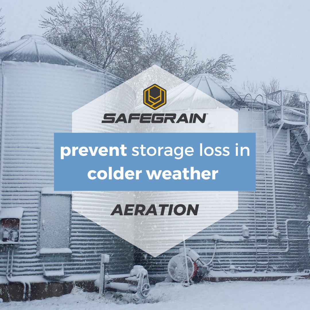 SafeGrain's tweet image. #Aeration can make all the difference in your grain storage as we move through the coldest months of the year. ❄️

🌡️ Storage tip: Keep your grain within 15 degrees of the outside temperature. 

#WinterGrainStorage #CoolYourGrain #GrainStorageTips #WinterWeather #Agriculture